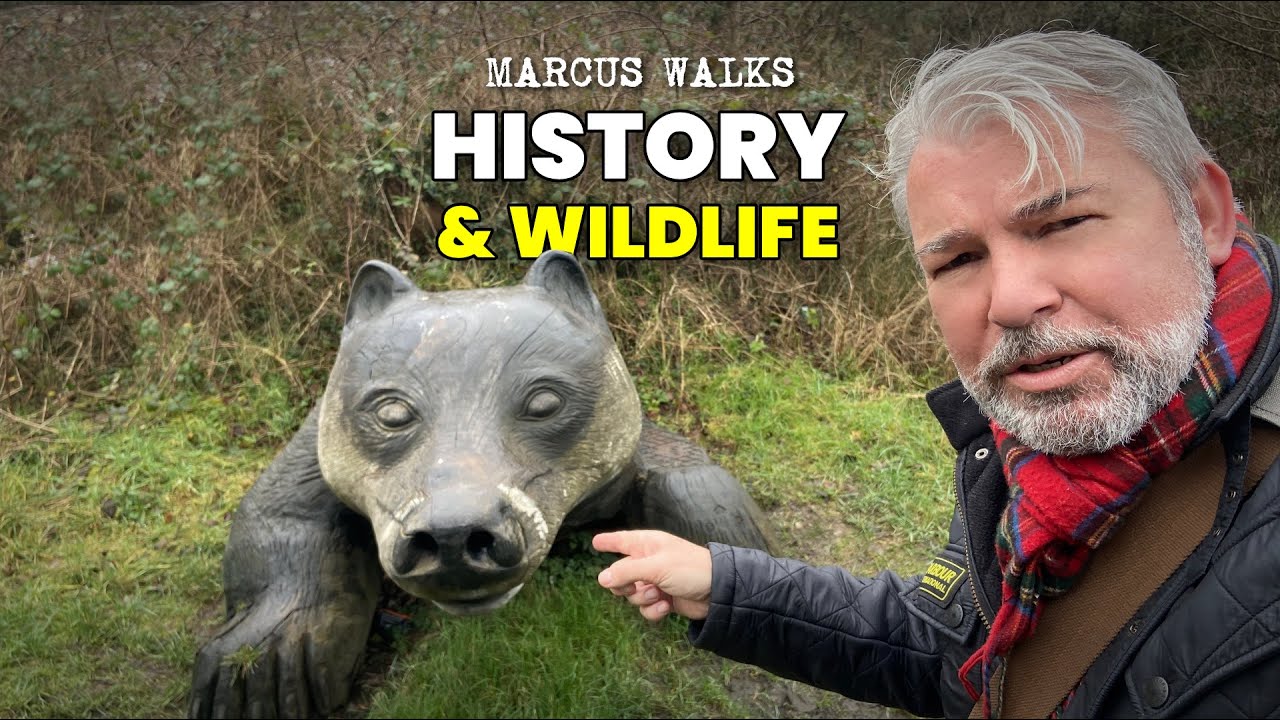 A Walk On The Wild Side - Parc Slip Nature Reserve