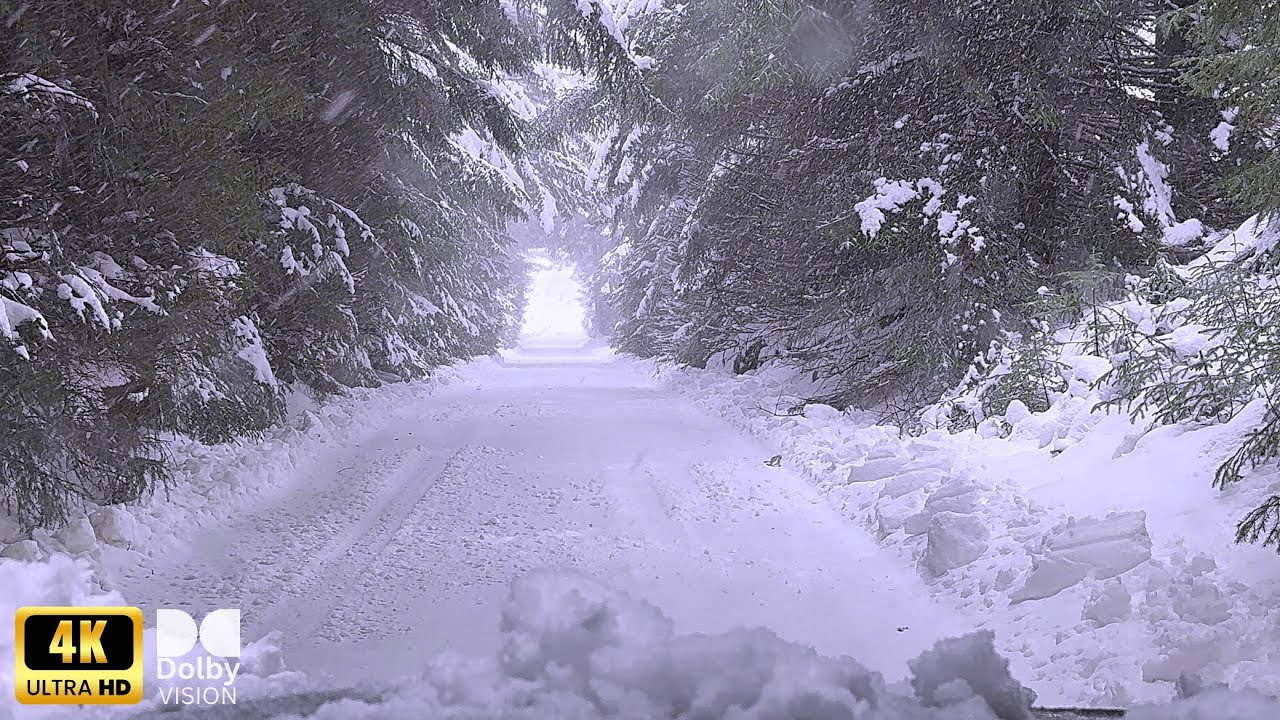 Winter Driving Magic: Amazing Snowfall in Norwegian Landscapes 4K