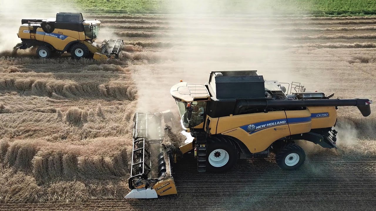 2x New Holland | CX 7.90 & 8050 | Trebbiatura grano 2021