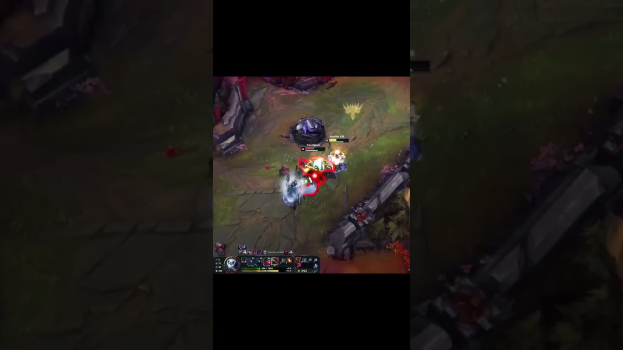 ZED HIGHLIGHTS