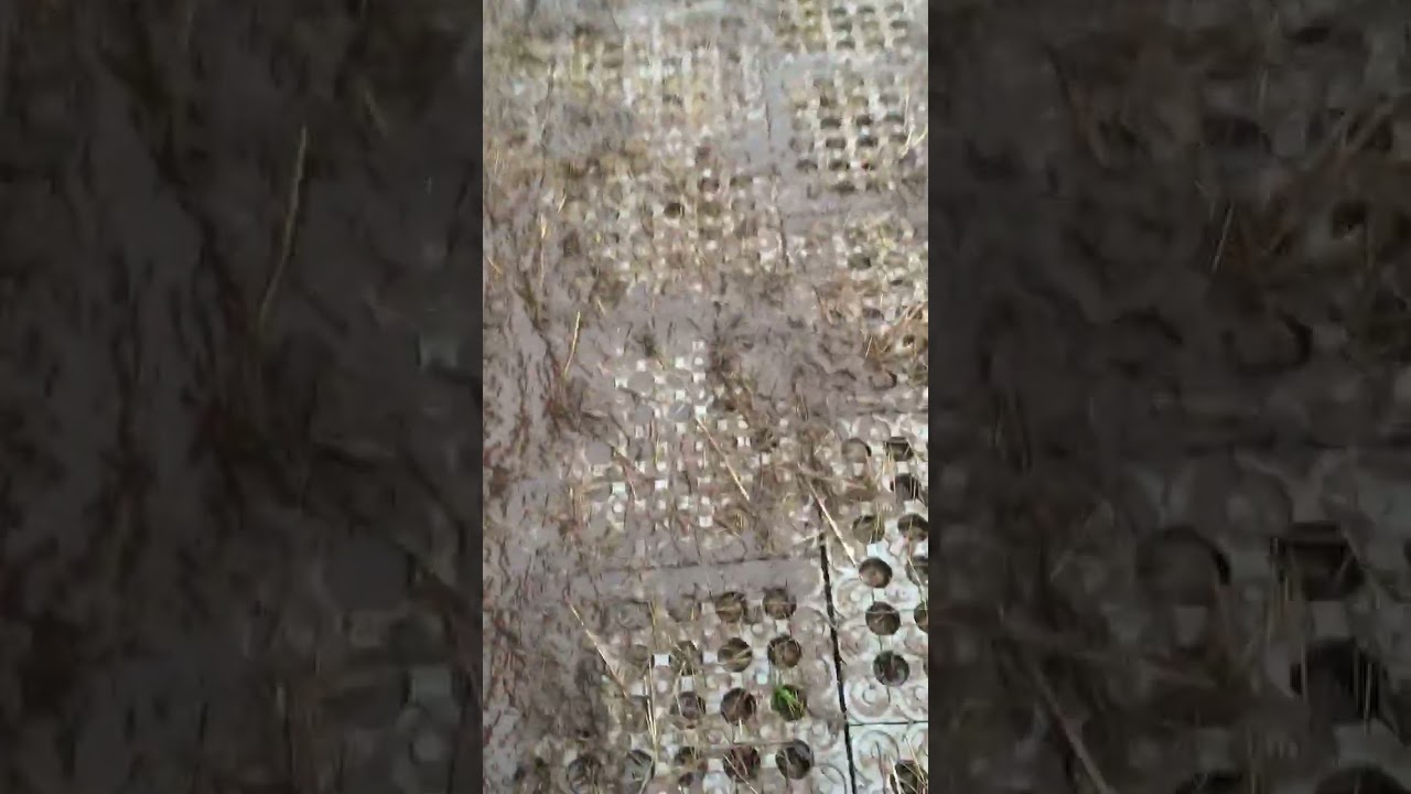 Une installation de dalles stabilisatrices sur une zone boueux