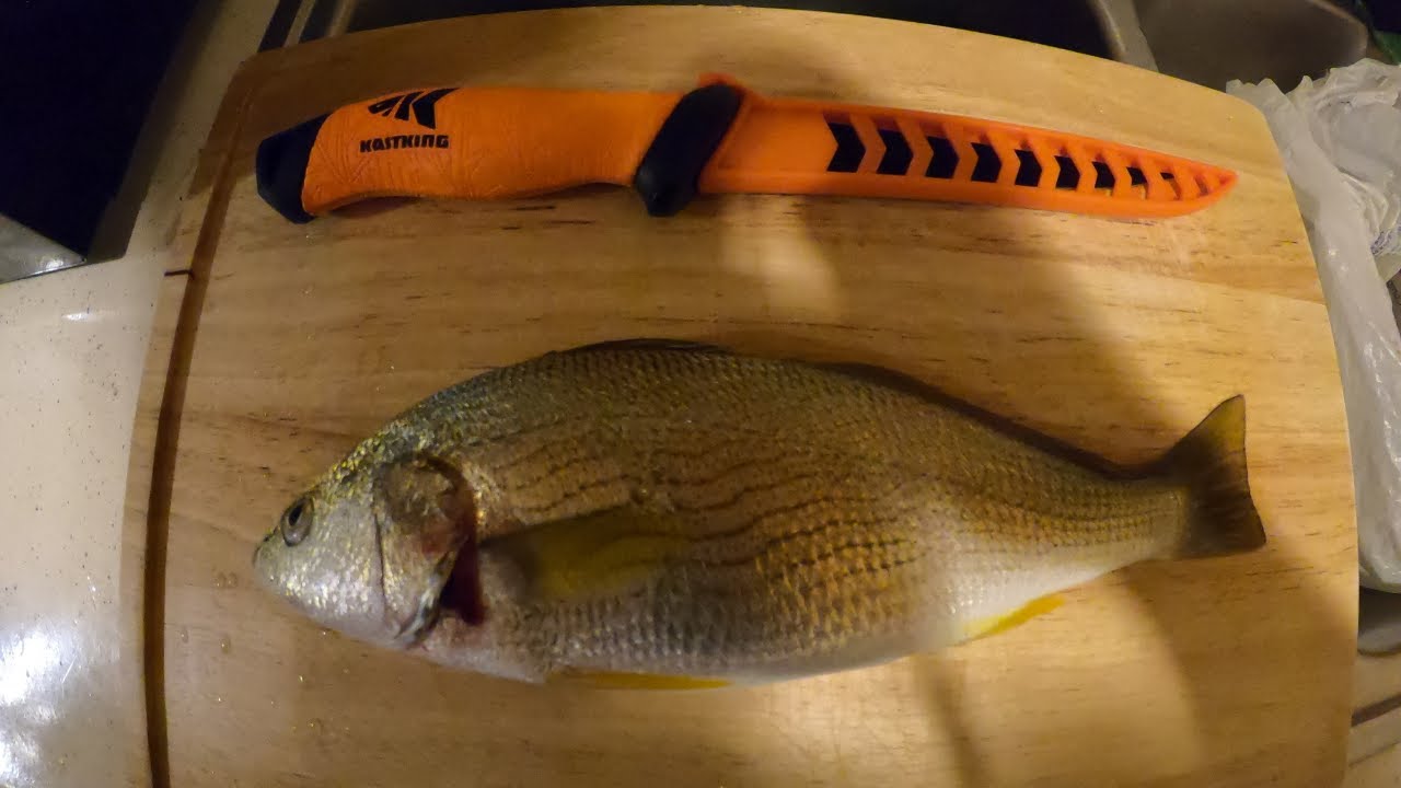 Yellowfin Croaker Taste Test...DELICIOUS!!! |Surf Fishing, CA| (Catch, Clean, Cook)