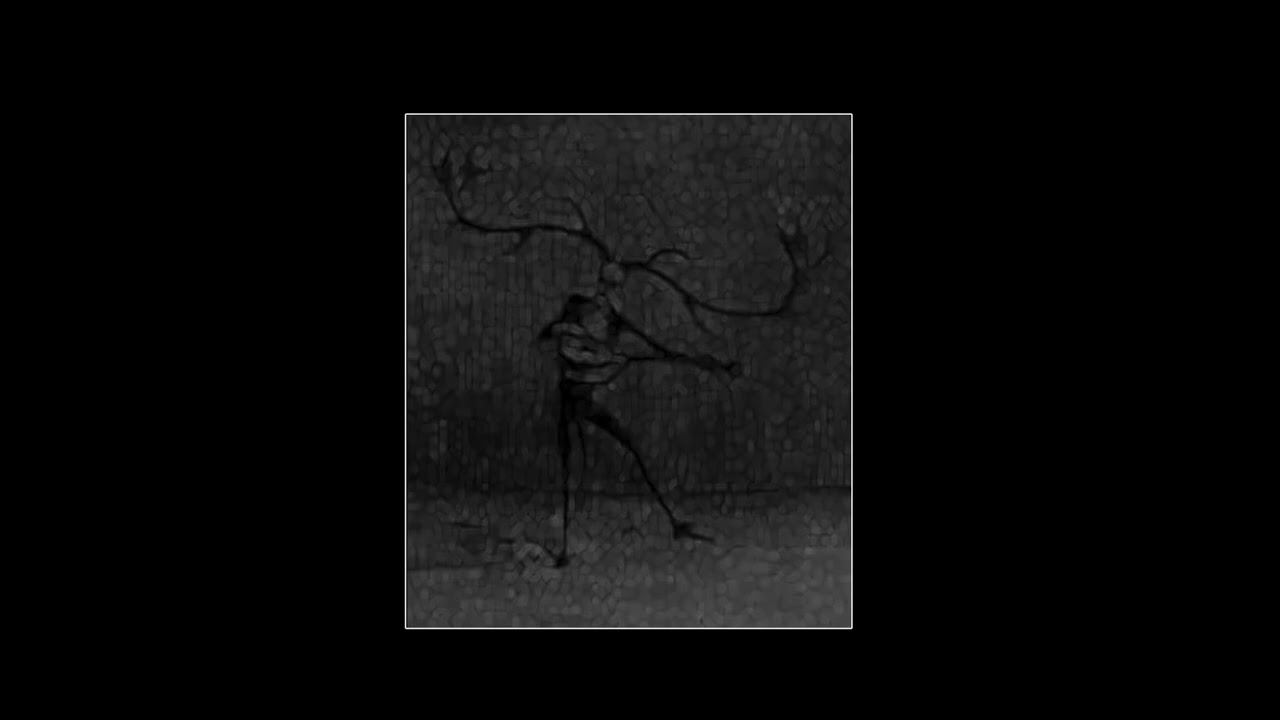 UNTERBOREA - Unreaching Soul (debut demo)