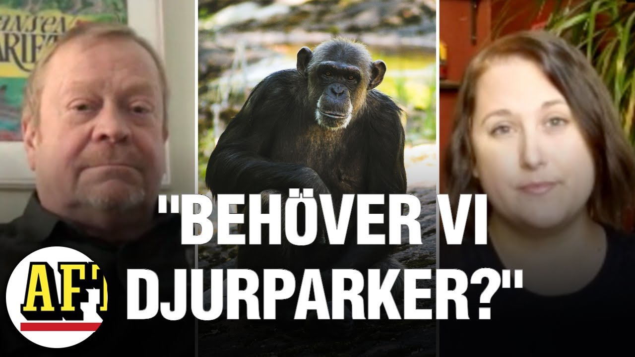 Jonas Wahlström: ”Olyckligt att så många olyckor hänt under kort tid”