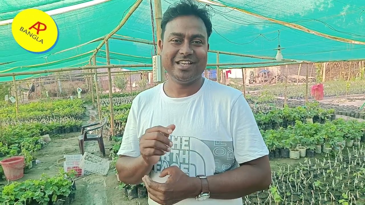 দেশের সবচেয়ে বৃহৎ সিডলেছ মিষ্টি আঙুর চারার নার্সারি ও আঙ্গুর বিশেষজ্ঞ মোকাররম ভাইএর গুরুত্বপূর্ণ কথা