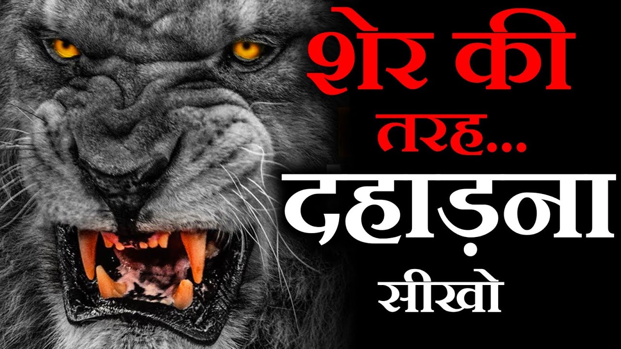 Become Like a Lion🔥 - Most Powerful Motivational Video to Get success in Life by Motivational Wings