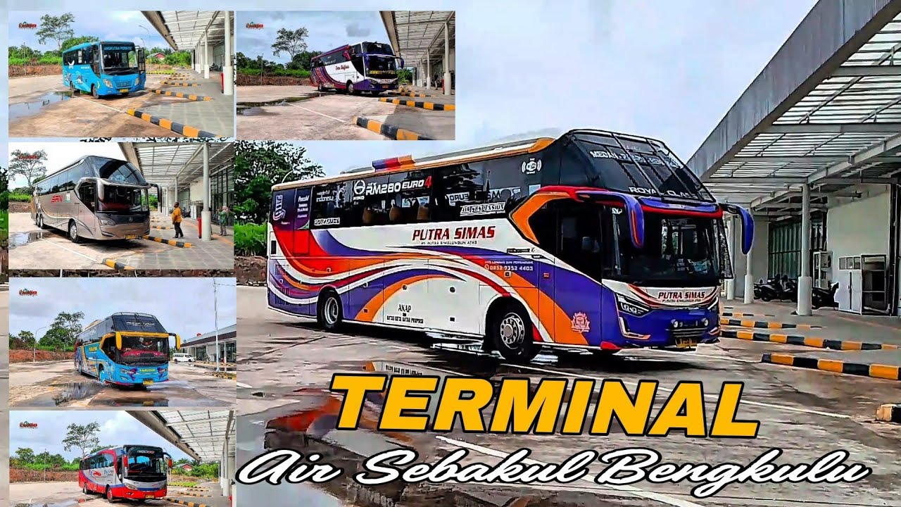 Angkatan Pagi Antar Kota Antar Provinsi ‼️Hunting Bus di Terminal Air Sebakul Bengkulu 