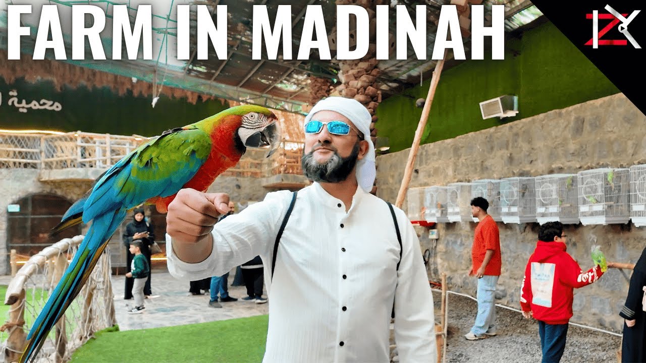 Farm In Madinah - Al Ossia Bird Sanctuary - 5 Min Walk From Masjid Quba - Only £5 A Ticket