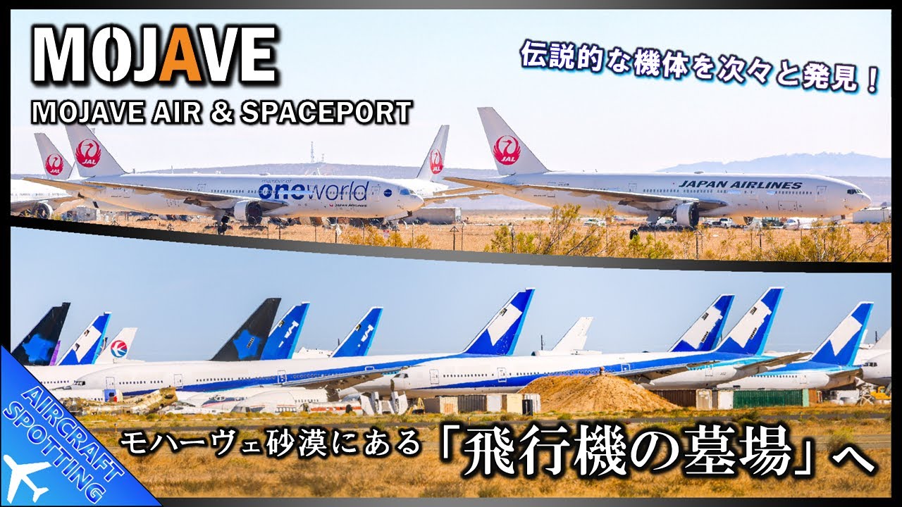 【退役した飛行機の墓場へ】モハーヴェ砂漠に眠るANA・JAL機などを撮影 | Aircraft Spotting at the Mojave Air & Spaceport (MHV・KMHV)