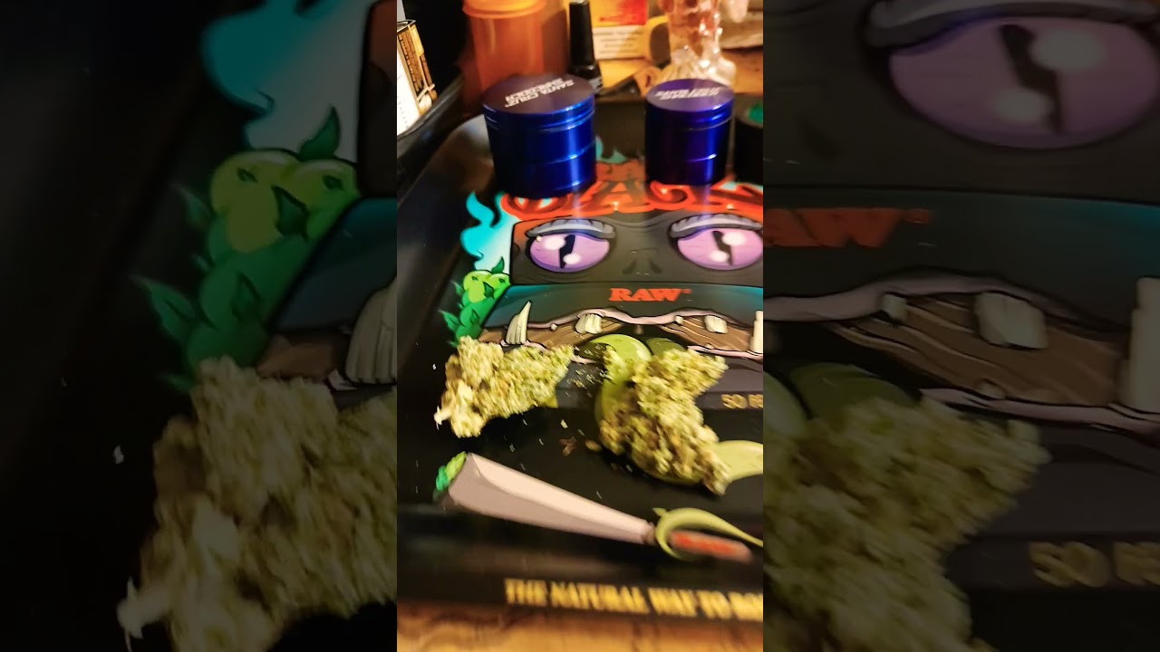 Blueberry #Blueberry #revolution #cannabiseducation #cannabisheals #science #cannabisreviews