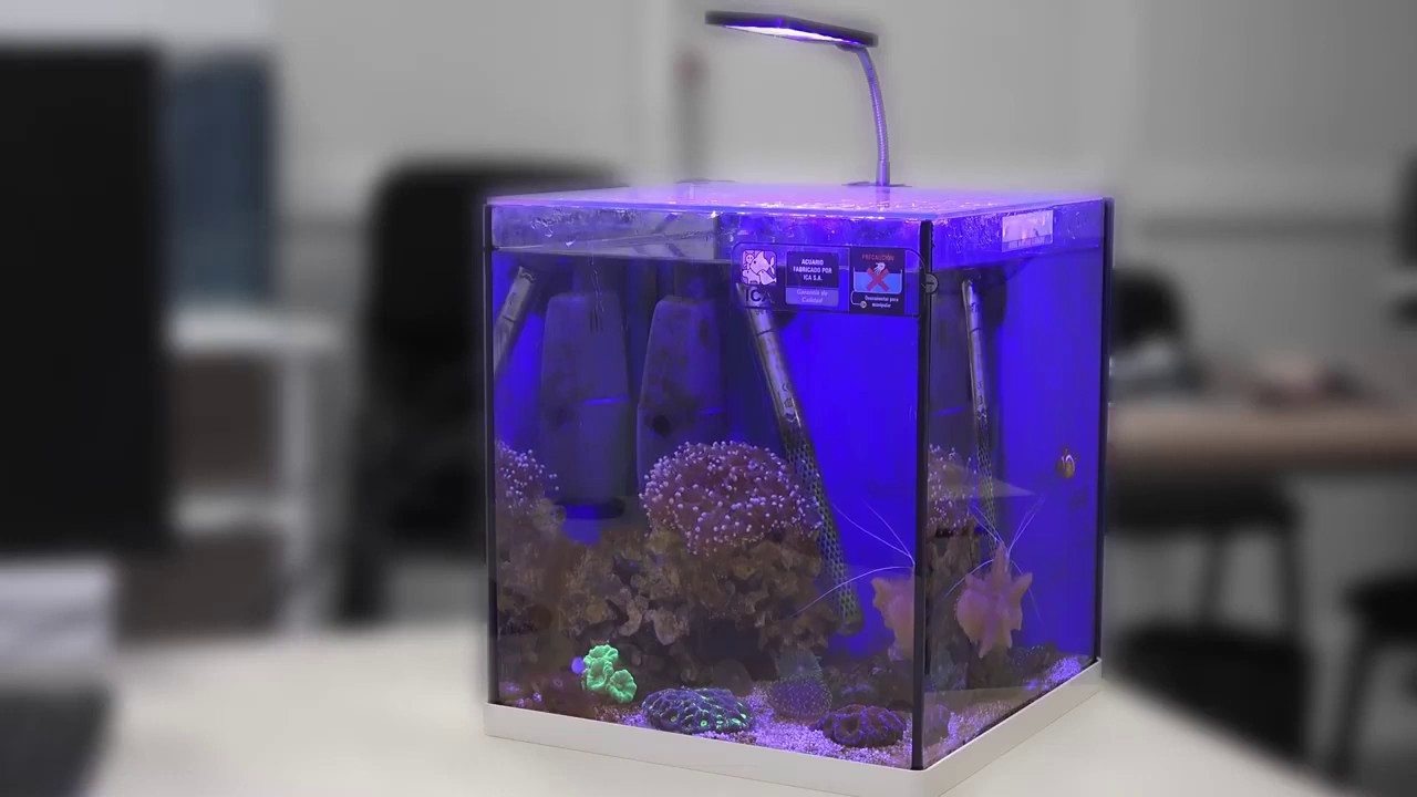 NANO acuario marino y su filtro NANO HYDRA PLUS