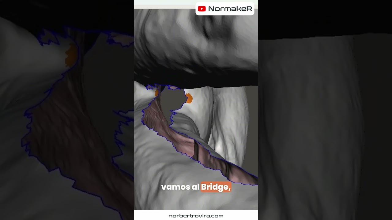 Reparo escaneo 3d de una mano - el problema #escaner3d #meshmixer #impresion3d