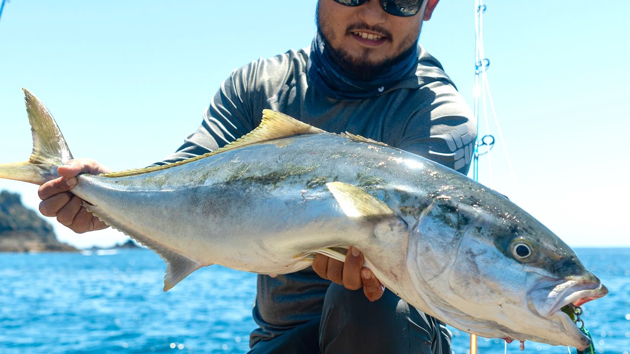 ВЕРНУЛИСЬ В НОВУЮ ЗЕЛАНДИЮ | Landbase Kingfish Catch and Cook