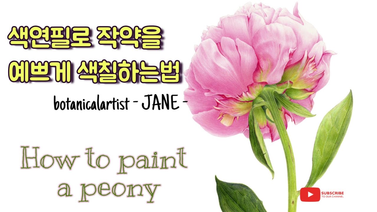 [보태니컬아트]색연필로 작약 그리기
/뒷모습이 예쁜 작약-사라베르나르/
How to paint a peony.