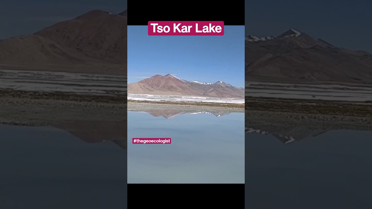 Tso Kar Lake- Road Trip- Ladakh - India #shorts