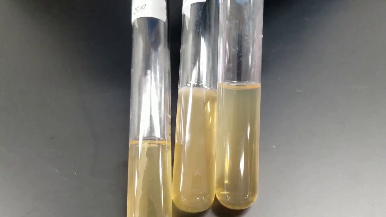 Hydrogen Sulfide Production