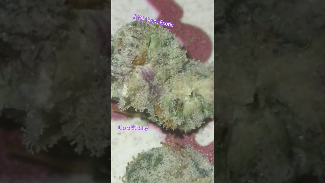 TWB The weed Box Oreoz Thca Flower is 🔥🔥🎄🎄