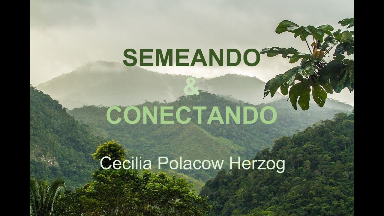 Semeando & Conectando com Cecilia Polacow Herzog