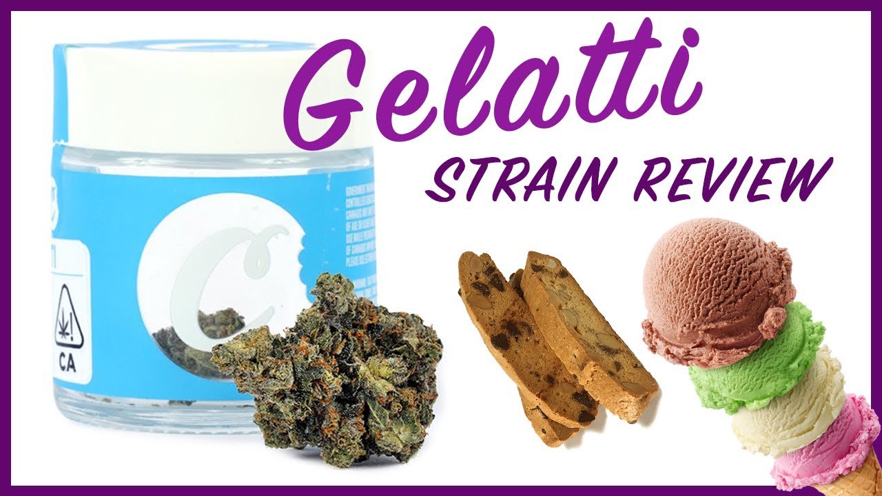 GELATTI STRAIN REVIEW (Cookies)