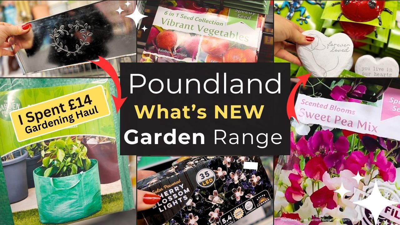 Новая коллекция товаров для сада от Poundland 🌿 | Покупки для сада за 14 фунтов | Покупки со мной...
