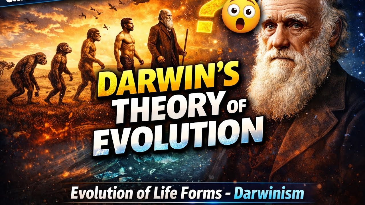 Survival of the Fittest! 🔥 | Darwinism Explained