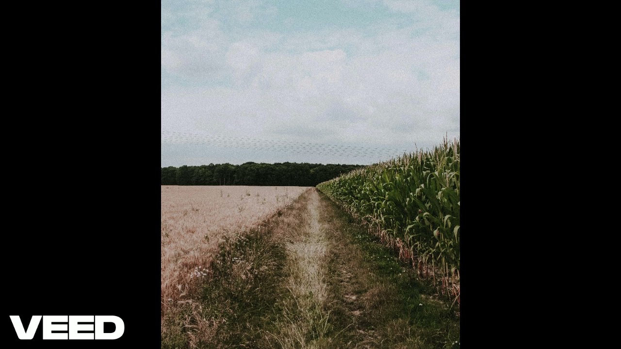 (FREE FOR PROFIT) Cinematic Type Beat