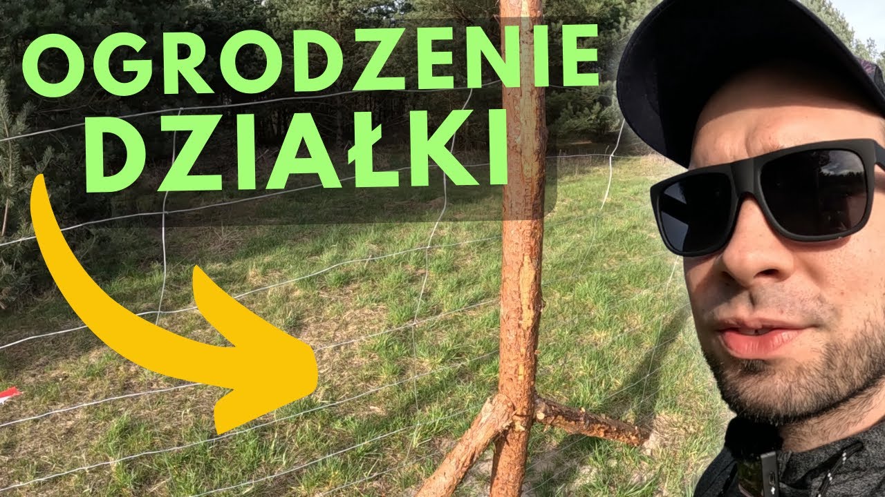 JAK TANIO OGRODZIĆ DZIAŁKĘ? Pokazuję jak zrobić ogrodzenie tymczasowe z siatki leśnej. BUDOWA 2024