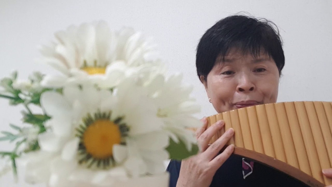 야래향 -  양지연 팬플룻연주
