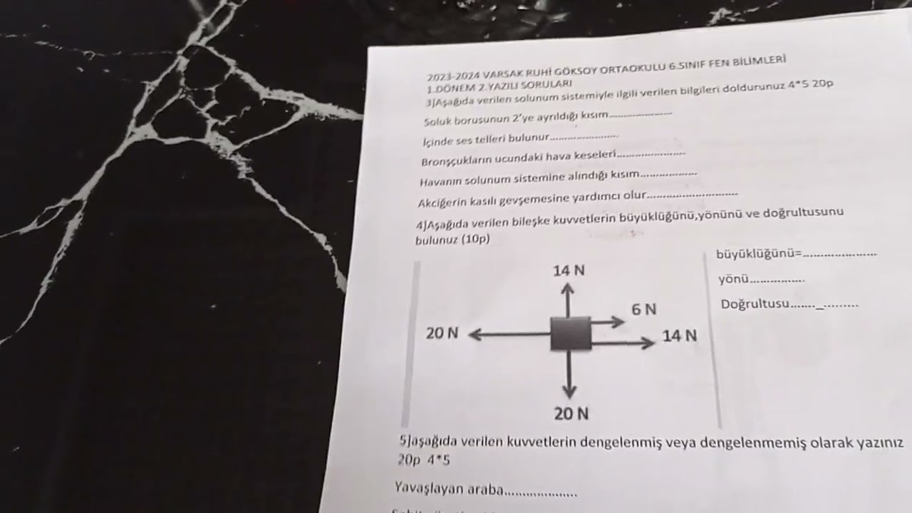 6 sınıf fen bilimleri 1 dönem 2 yazılı 2023-2024