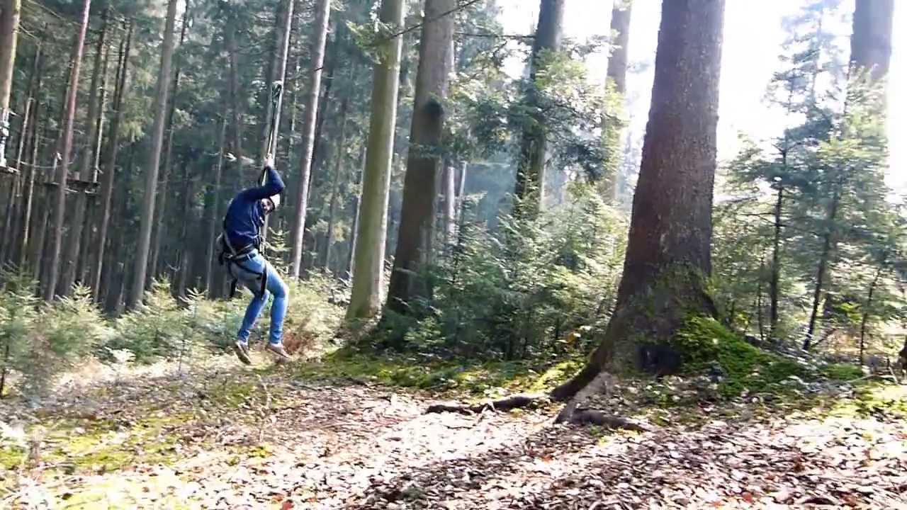 Wildpark Oberreith - Tagesausflug