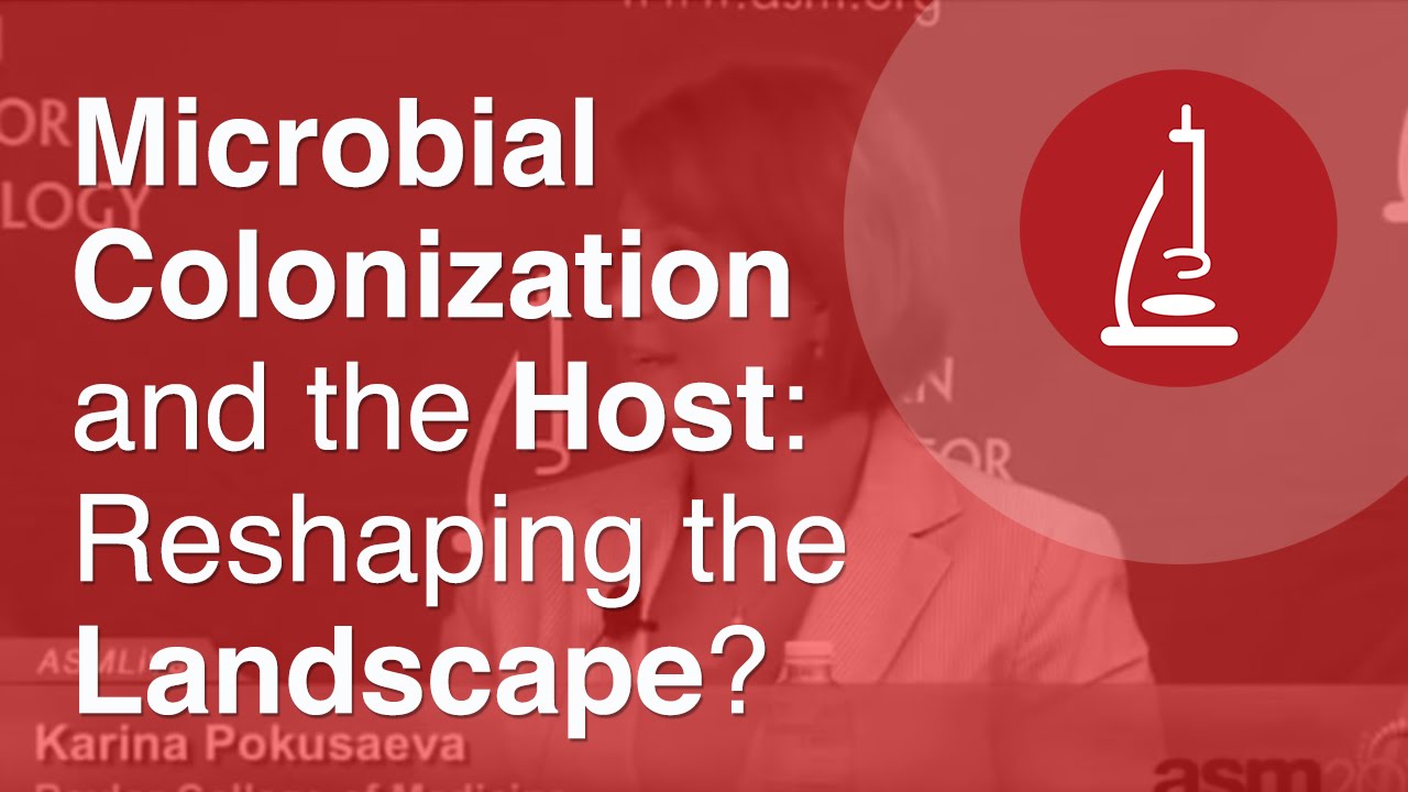 Microbial Colonization and the Host: Reshaping the Landscape?