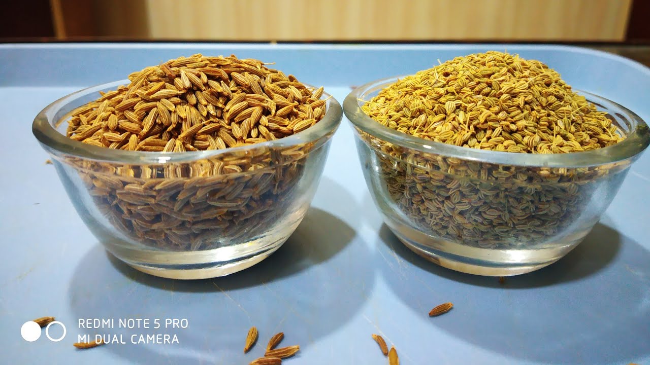 Difference between Jeera and  ajwain। jeera ।Fennel Seeds।
