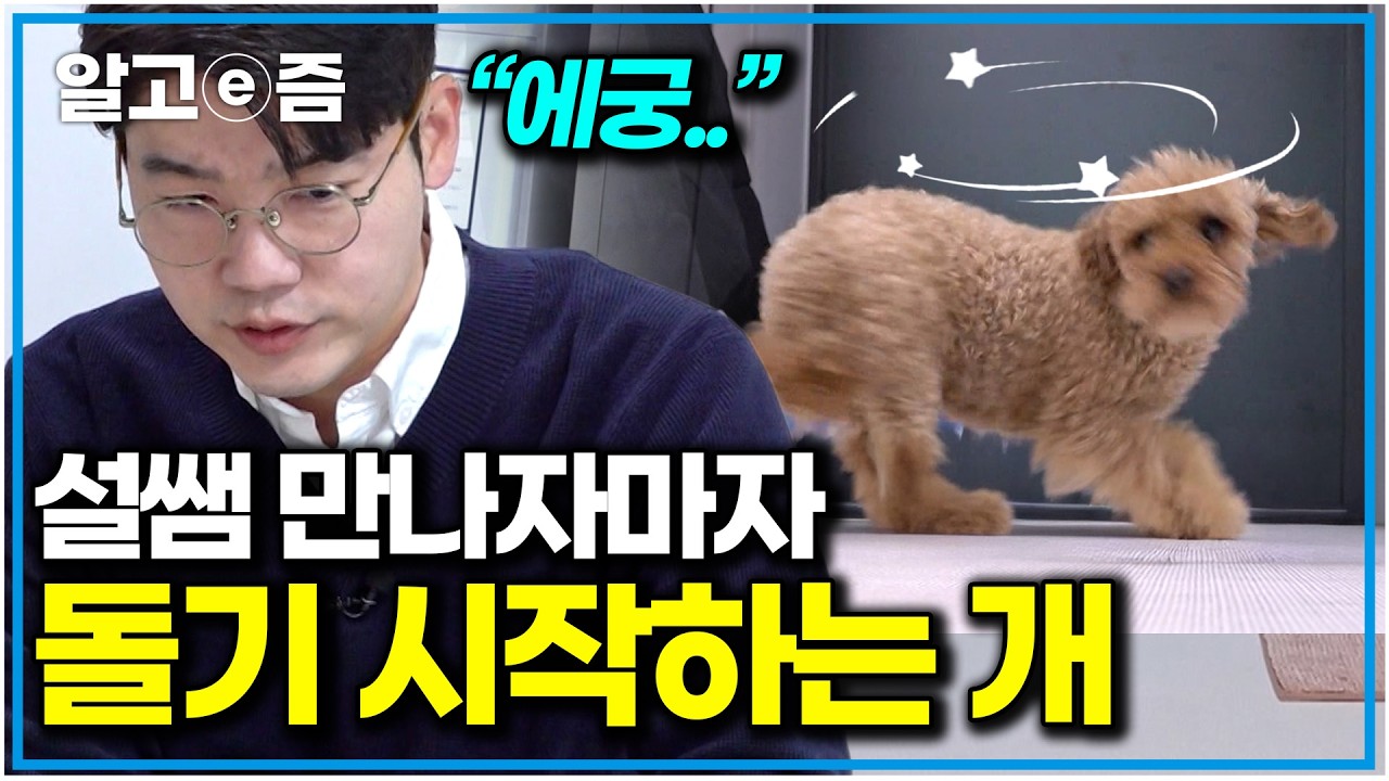 “안 어지러워?” 제자리에서 계속 도는 개에 속상한 설쌤. 알고 보니 시각 장애견?｜세상에 나쁜 개는 없다｜알고e즘