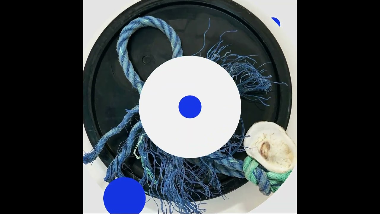 The art of Joanne Tarlin was featured @theharpswellopenstudiostour #contemporaryart #curator