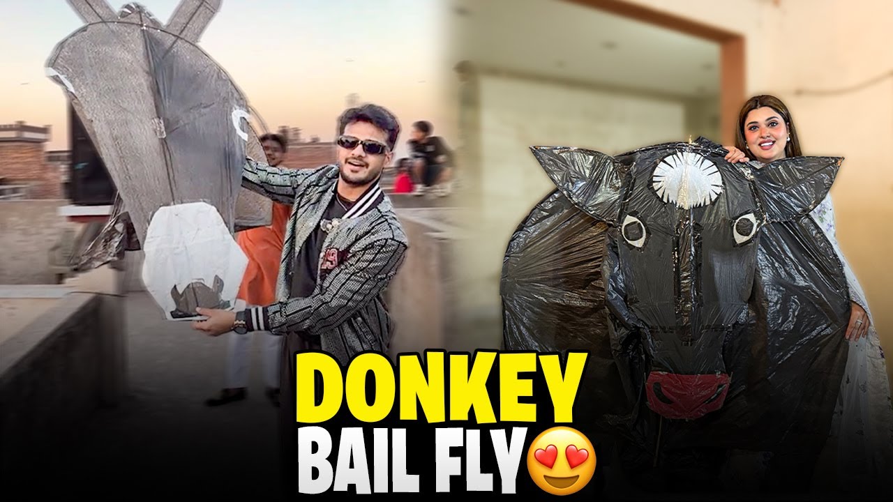 Basant 2nd Day || Donkey Aur Bail 🐂 Ko Hawa Main Ura Diya