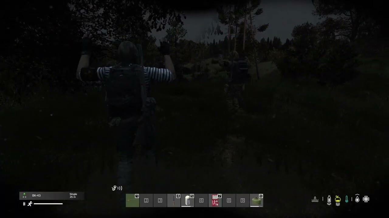 Cordon Robbery Gone Wrong (Graphic) || STALKER: BEYOND