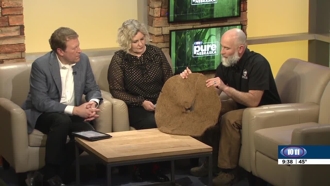 Lower Platte South NRD offering trees, new products with Conservation Tree Program