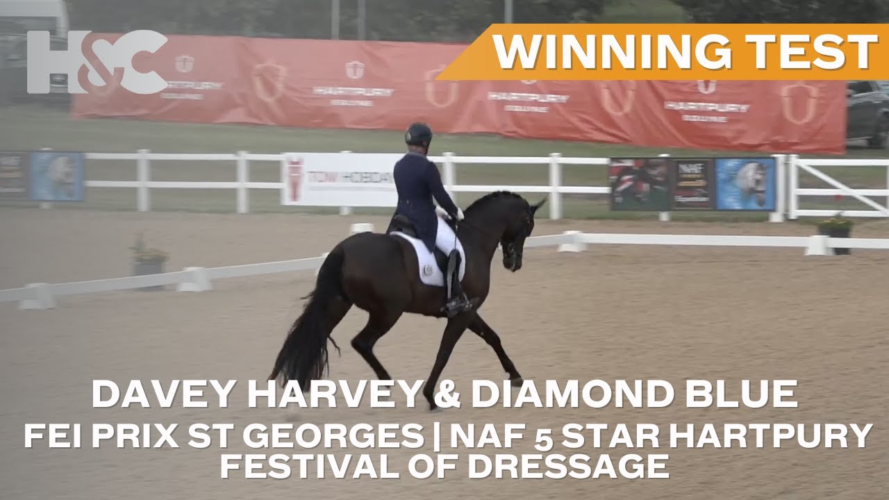 Davey Harvey & Diamond Blue Win The FEI Prix St Georges | NAF 5* Hartpury Festival Of Dressage
