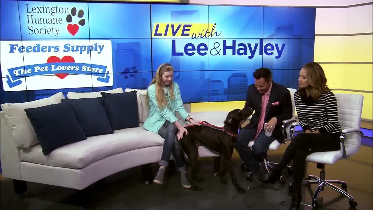 Bluegrass Buzz/ Pet Of The Day: September 28, 2018