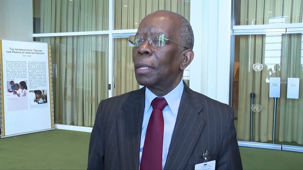 Entrevista: primeiro-ministro de Moçambique, Adriano Maleiane