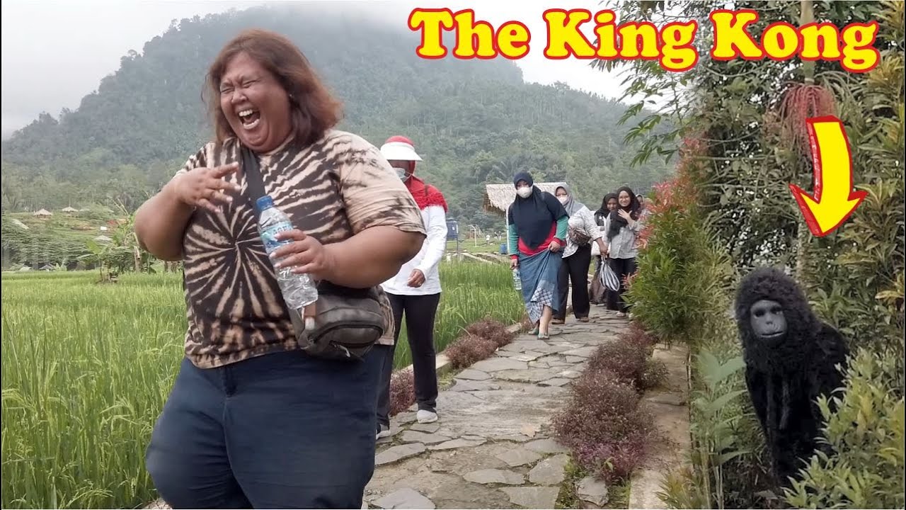 Auto shock..!! Gorilla prank bikin ngakak