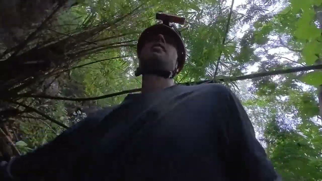 Searching for new caves in the jungle