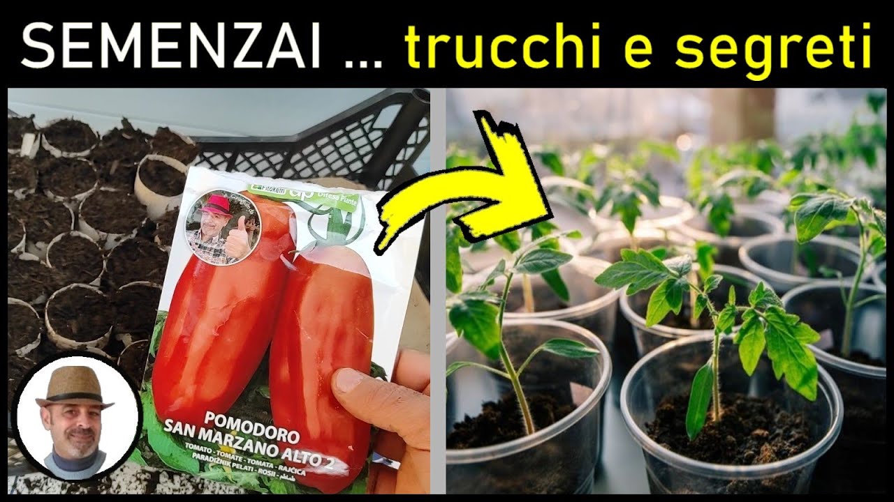 Tutti i consigli per fare un semenzaio dei nostri ortaggi