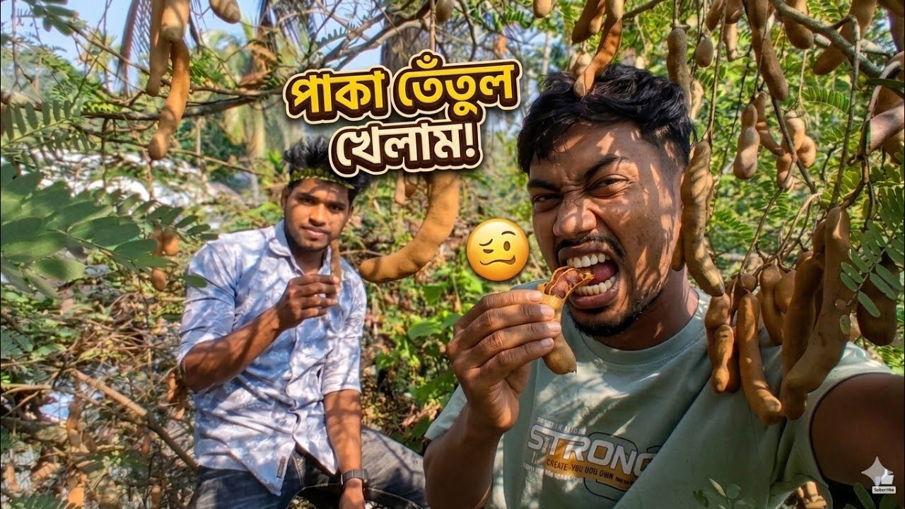গাছের মগডালে উঠে তেঁতুল পাড়ার আনন্দ | ছোটবেলার স্মৃতি ফিরে এল! #minivlog #villagelifevlog 