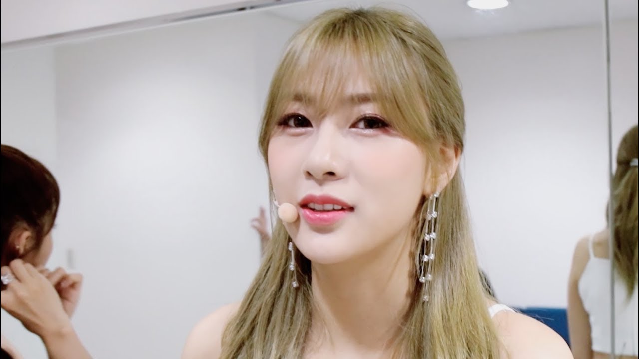 Apink Mini Diary - 할리우드 핑수니들