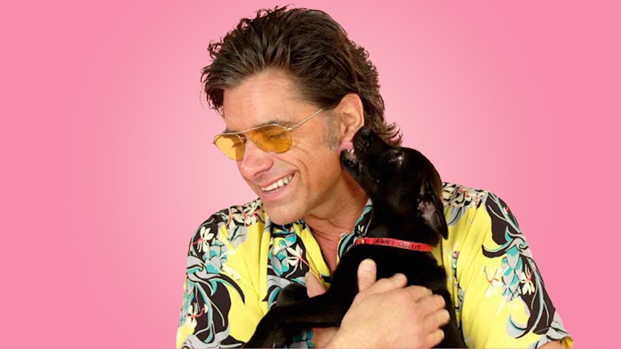 John Stamos: The Puppy Interview