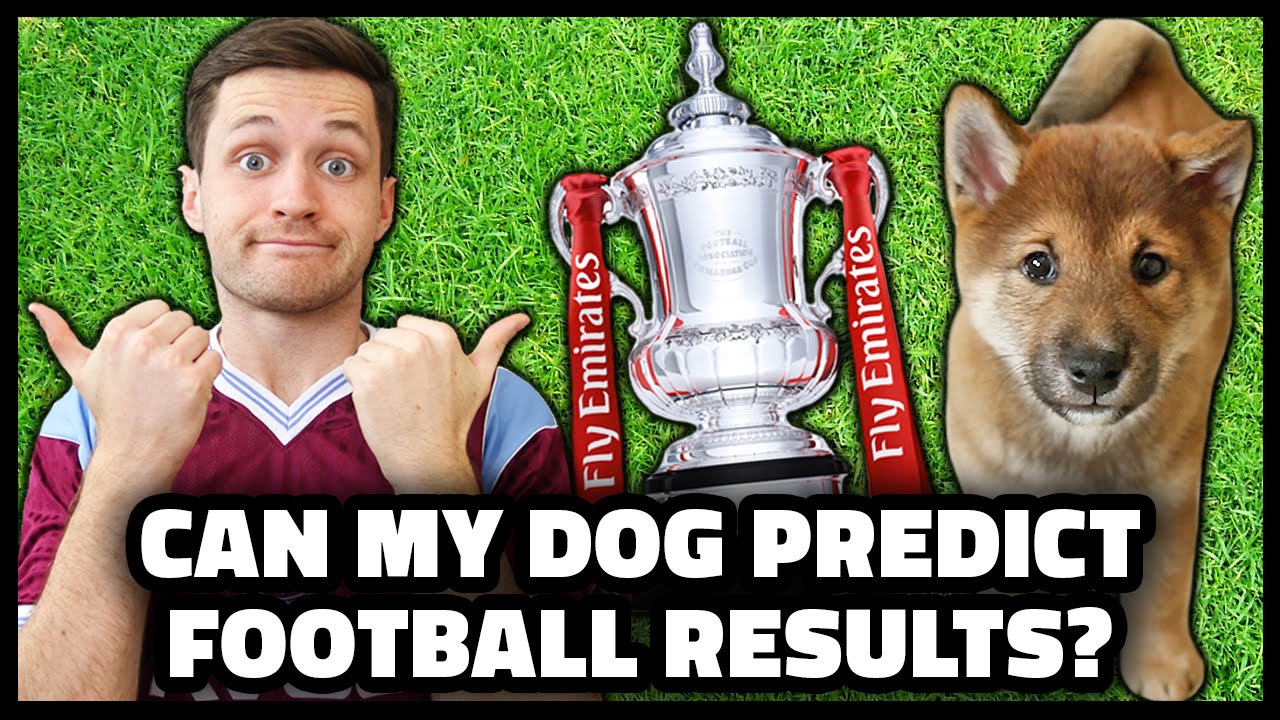 CAN MY DOG PREDICT FOOTBALL RESULTS?!