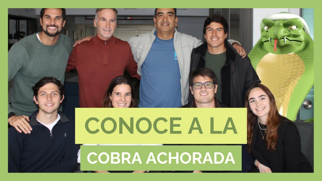 Conoce a la 'Cobra Achorada', el fondo de Flip que invierte en el S&P 500