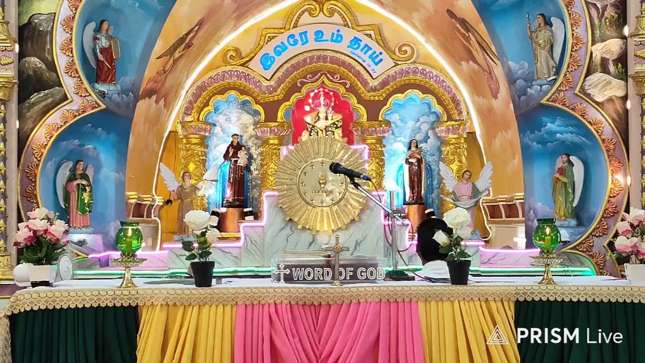 பொதுக்காலம் 5ஆம் ஞாயிறு பாலர் சபை தினம்  திருப்பலி12மணி நடைபெரும் தேதி8/2/26