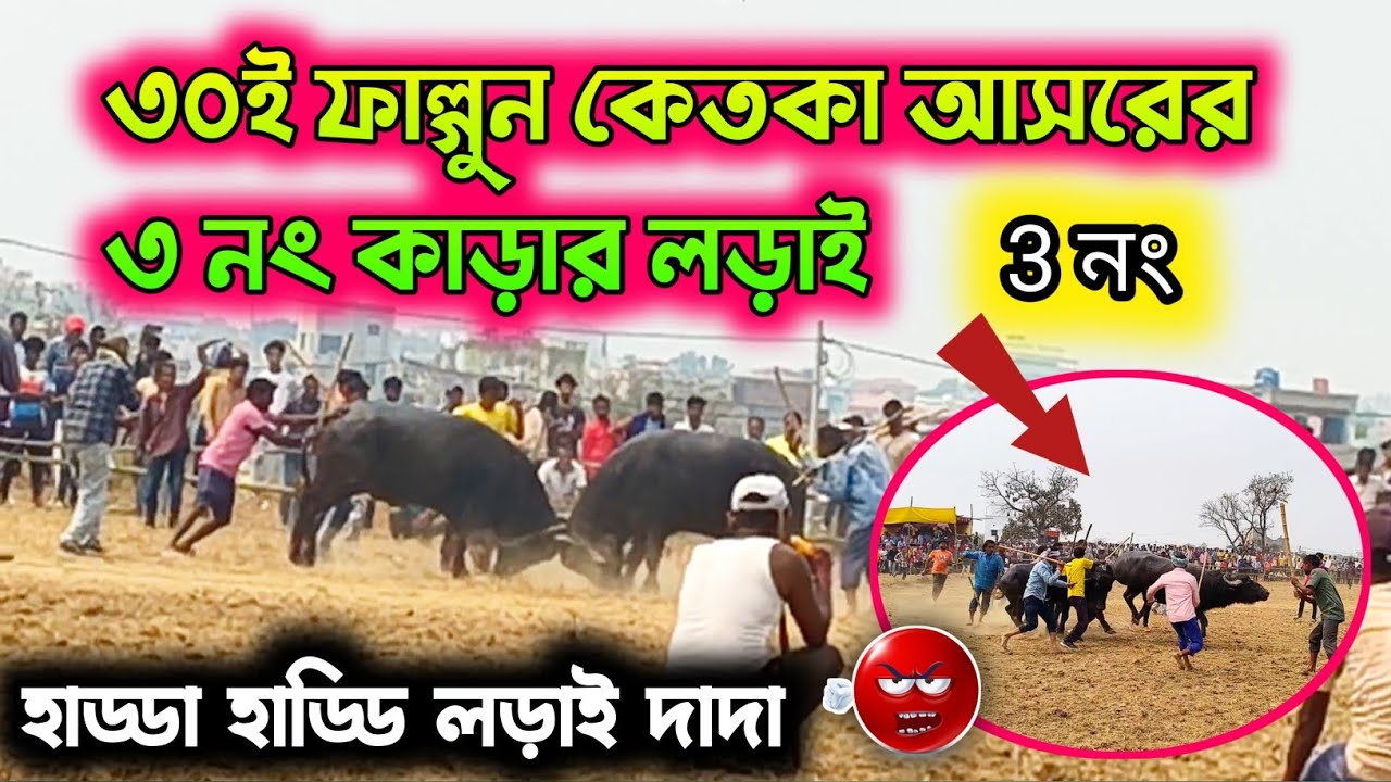 ৩০ই ফাল্গুন কেতকা আসরের ৩ নং কাড়ার লড়াই  || দারুন লড়াই দাদা 😱🥰